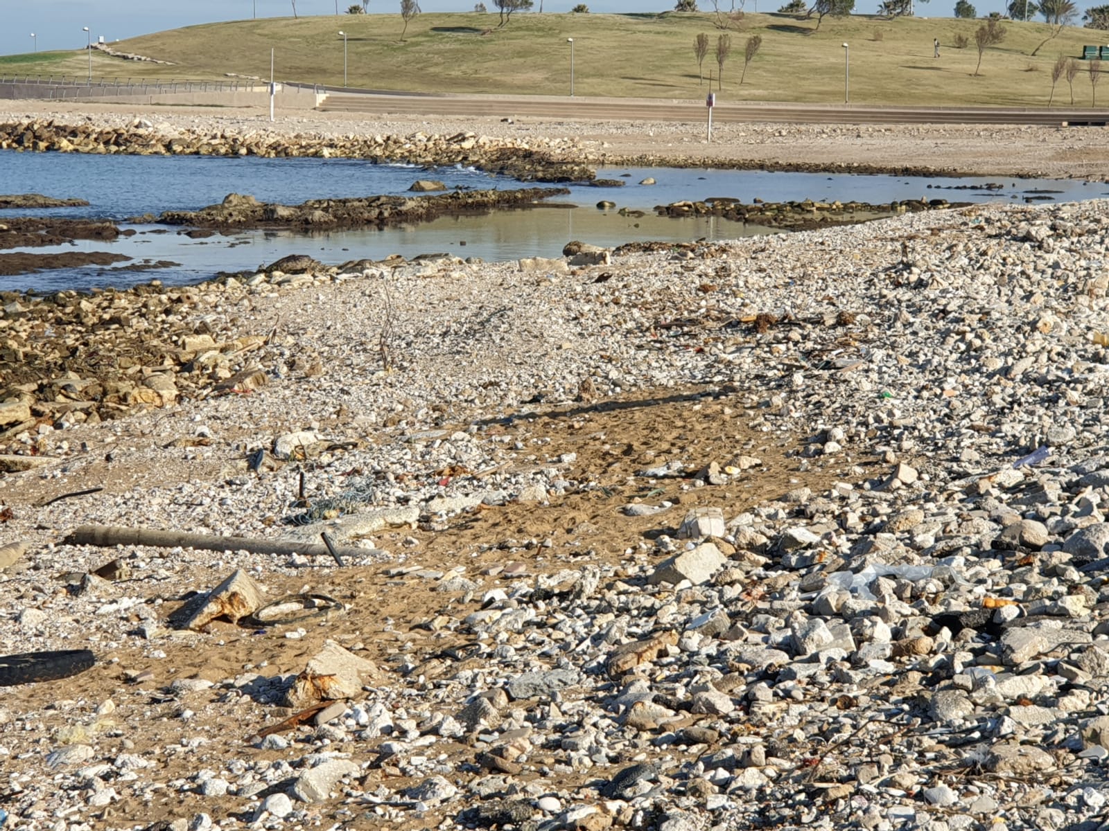 WhatsApp Image 2020-01-27 at 9.00.46 AM.jpeg.jpeg